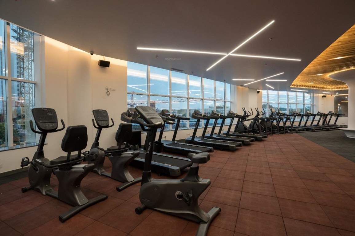  royal square Gymnasium