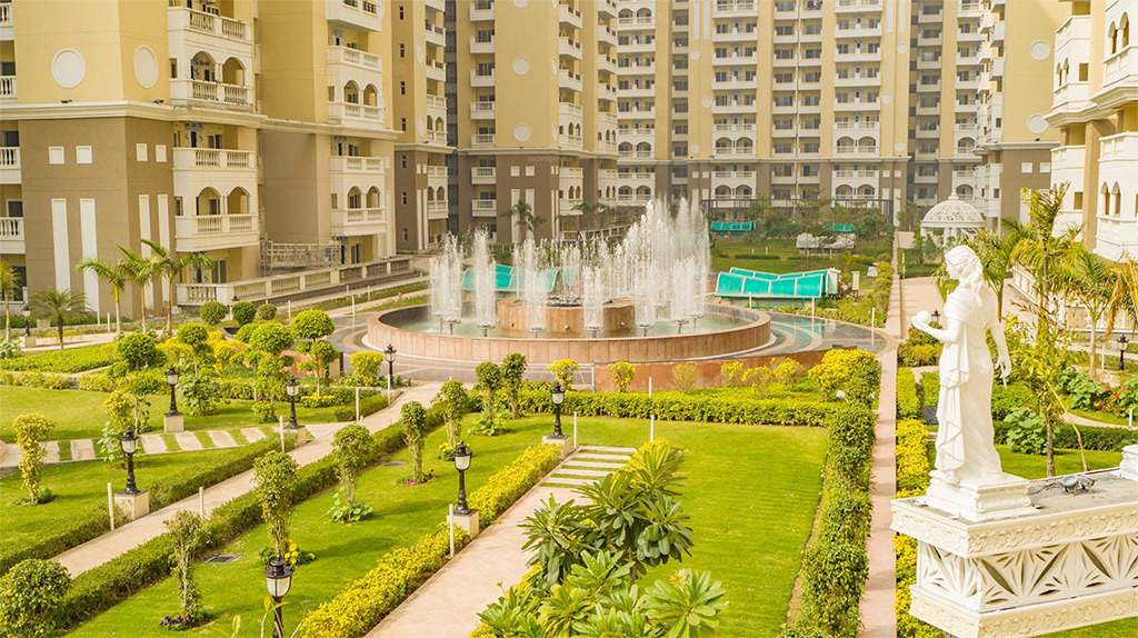  royal square Landscape Garden and Tree Planting
