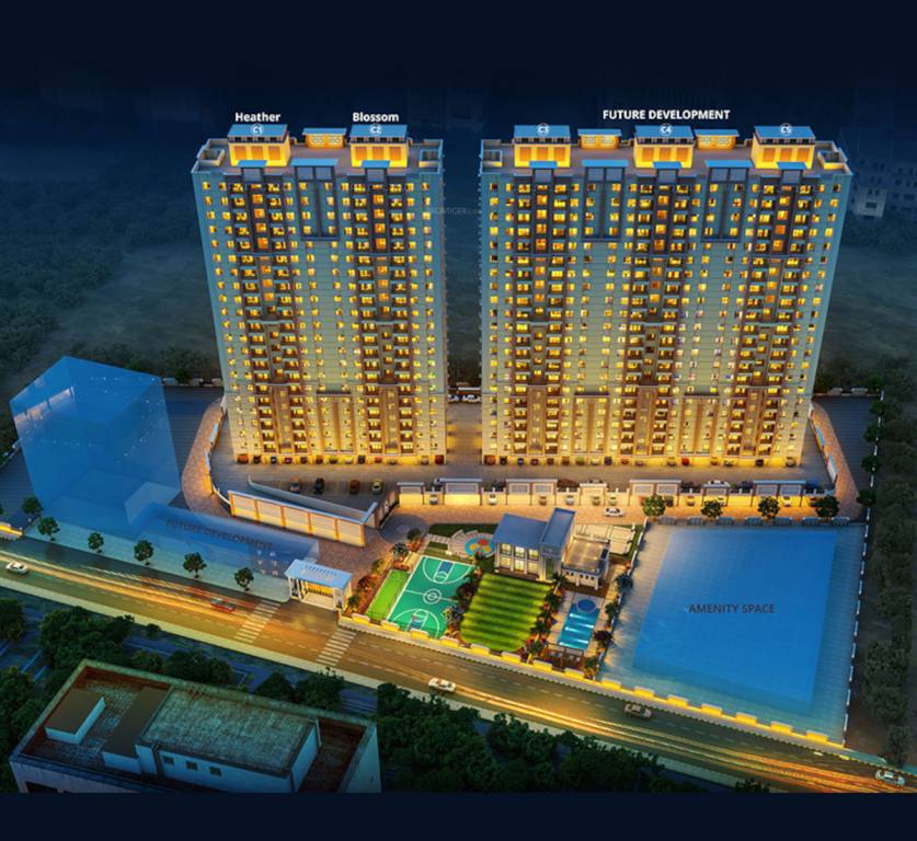 exuberance i Elevation