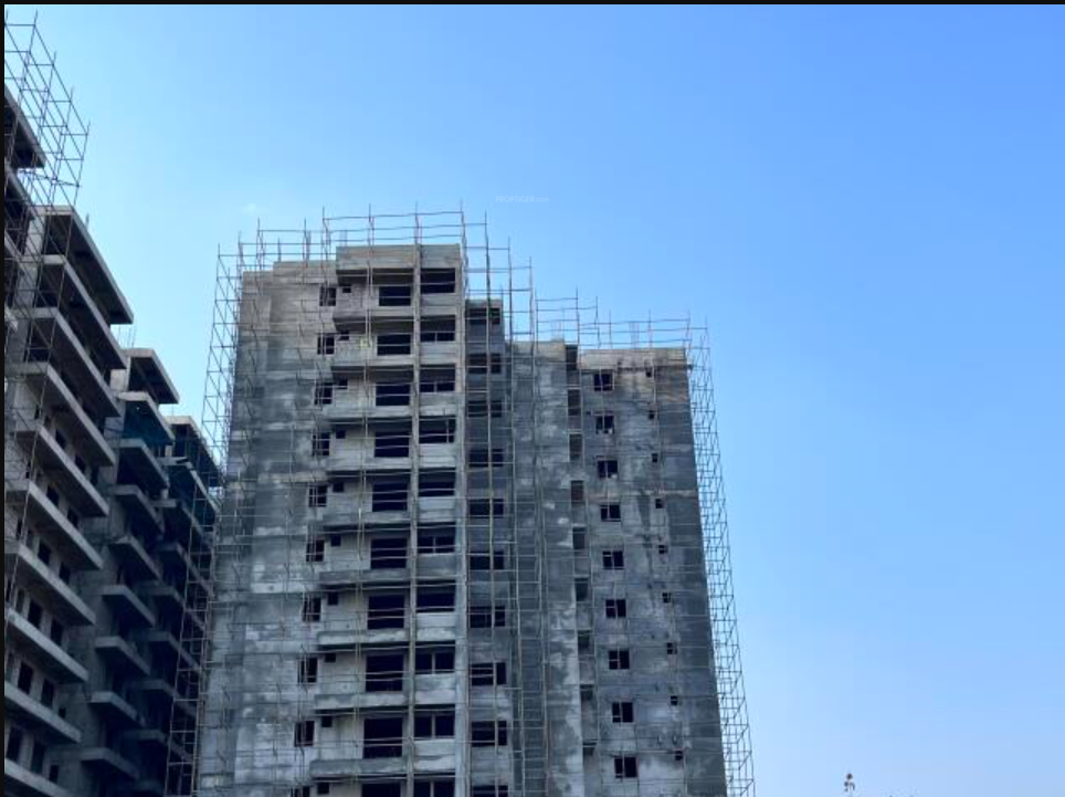  sanarelli Construction Status March 25