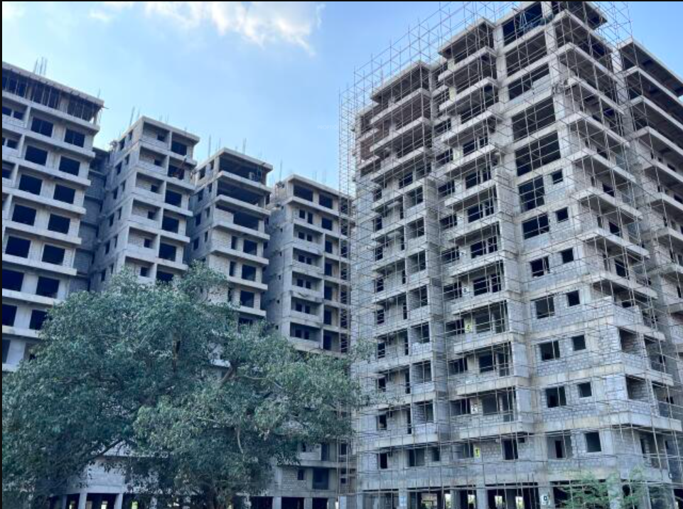  sanarelli Construction Status March 25