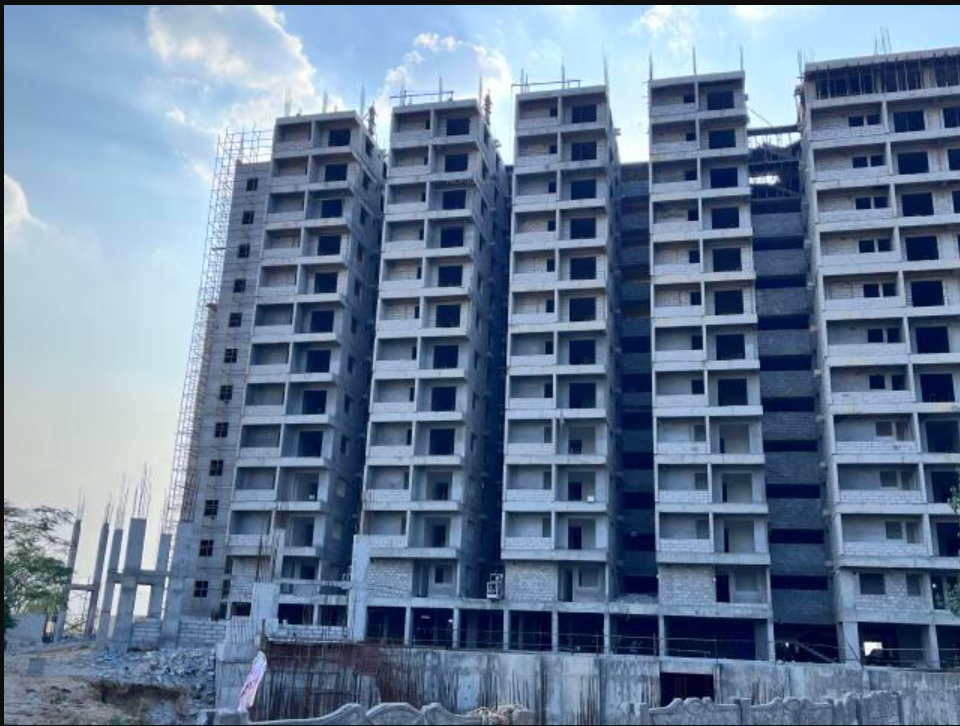  sanarelli Construction Status March 25