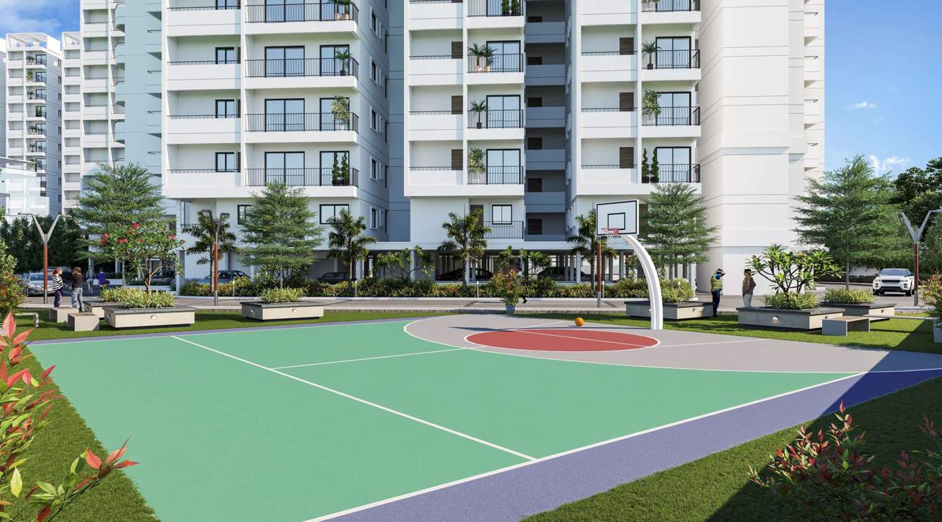  sanarelli Basketball Court