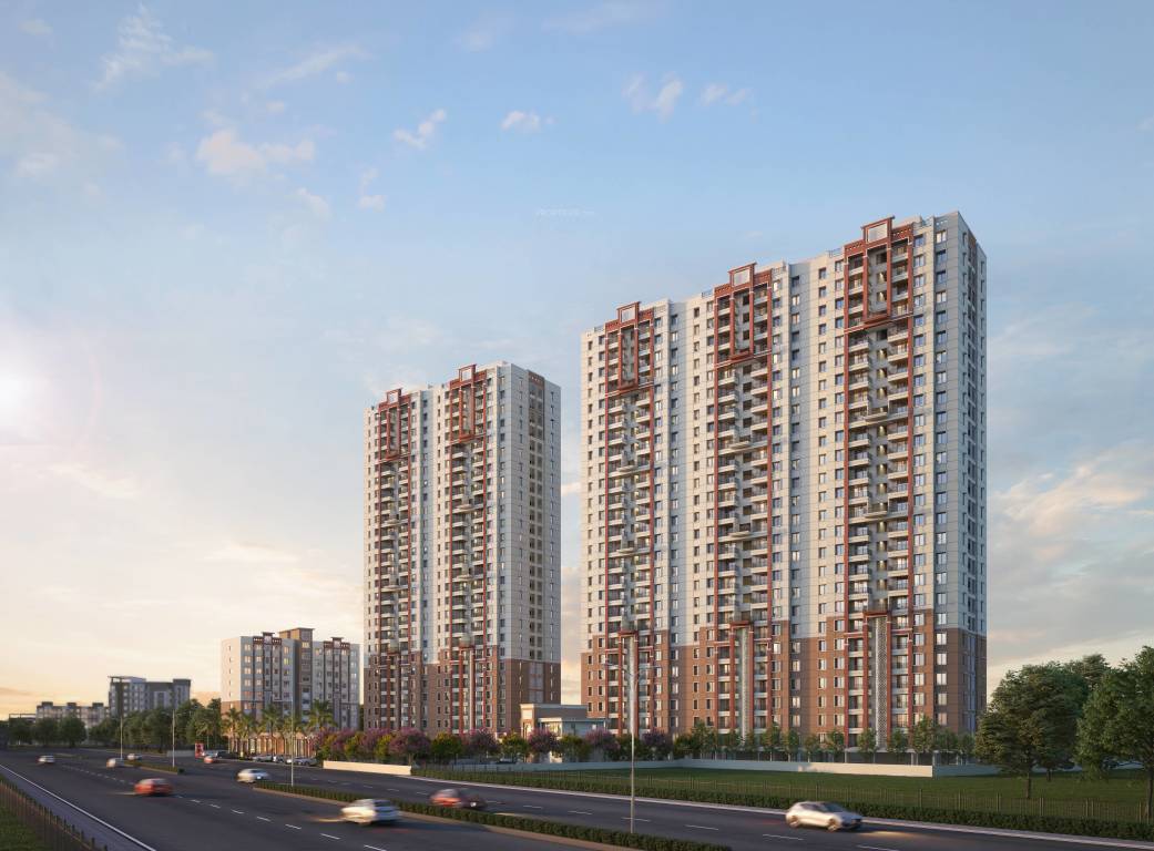 exuberance Elevation