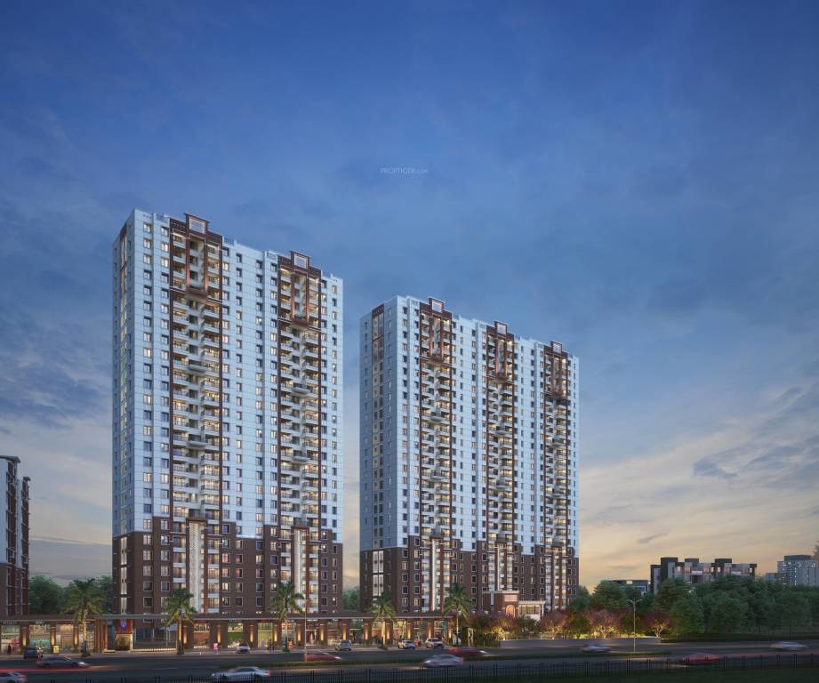 exuberance Elevation