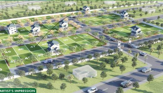 tree-pearl-county Elevation Elevation