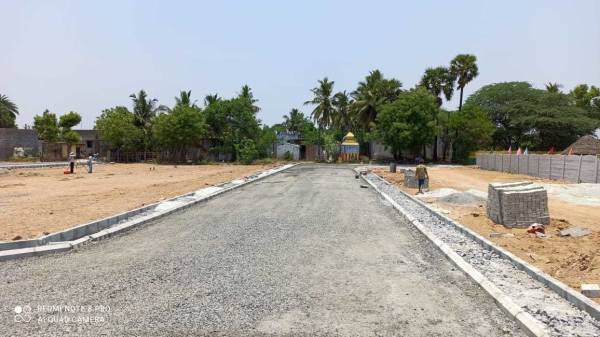  tree-pearl-county Internal Roads & Footpaths