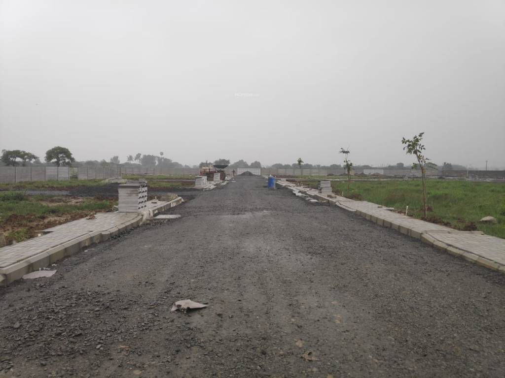  tree pearl county Plot