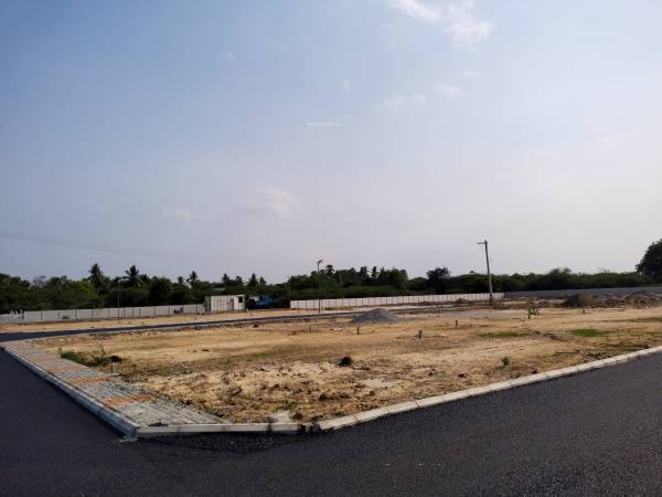  tree-pearl-county Plot