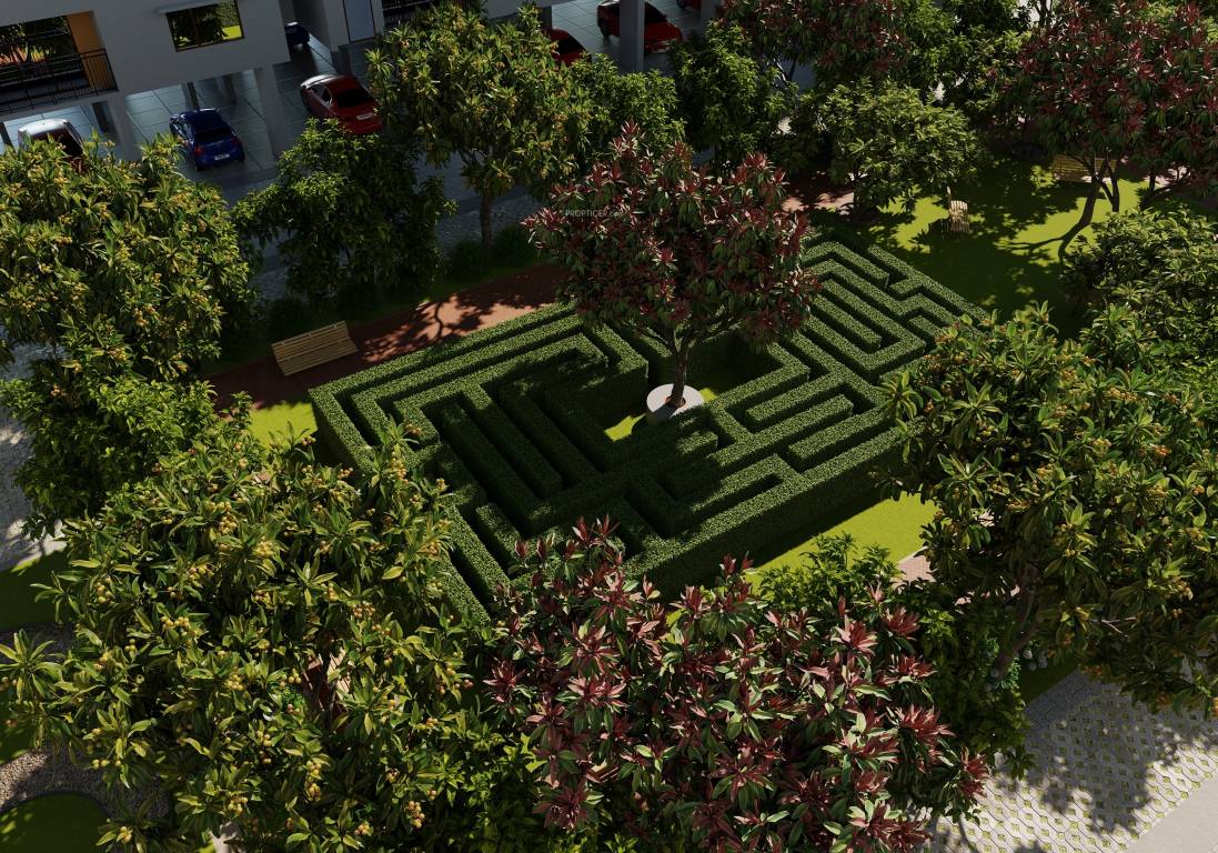  prosper Landscape Garden and Tree Planting