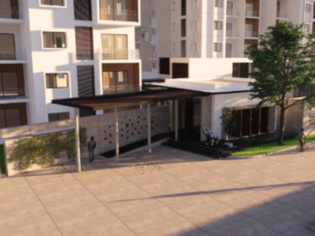 sattva signet Others