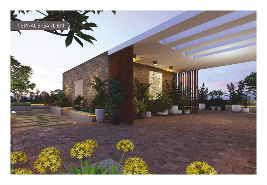  orion Terrace Garden