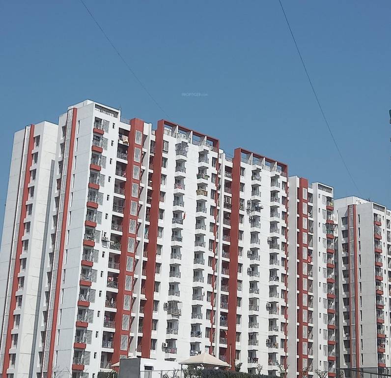 rhythm county Elevation