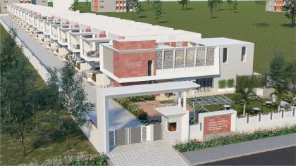 Elevation camellia Elevation