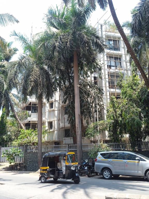  paradise Construction Status May 24