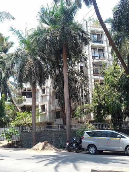  paradise Construction Status May-24