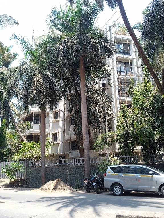  paradise Construction Status May 24