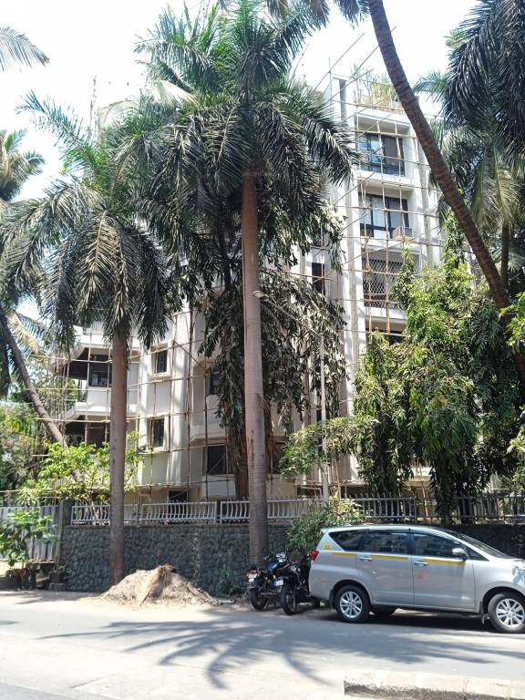  paradise Construction Status May 24