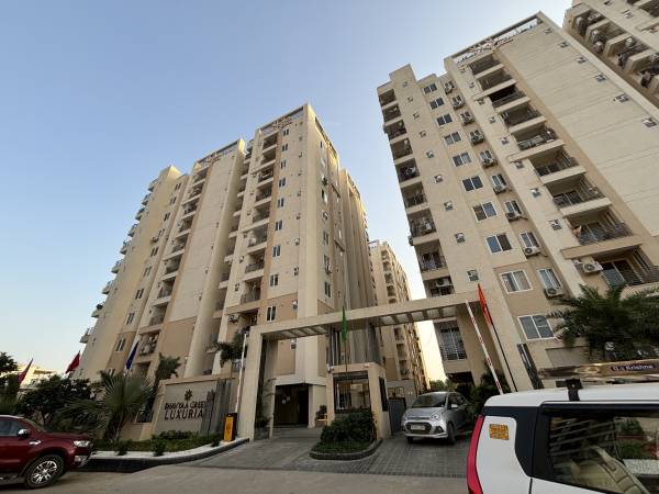  green-luxuria Elevation