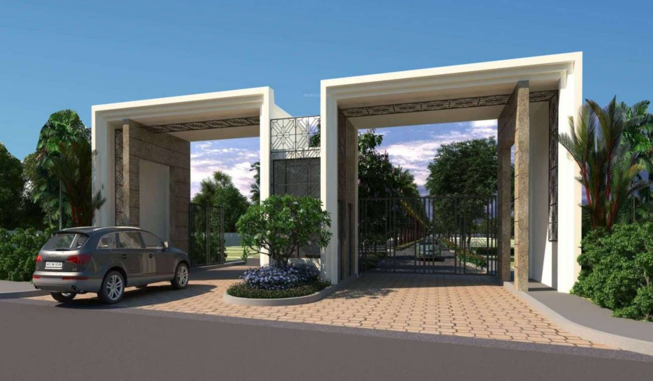  ecosprings 1 Elevation