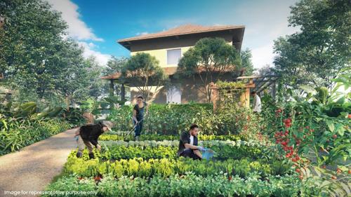  happinest-tathawade Flower Garden