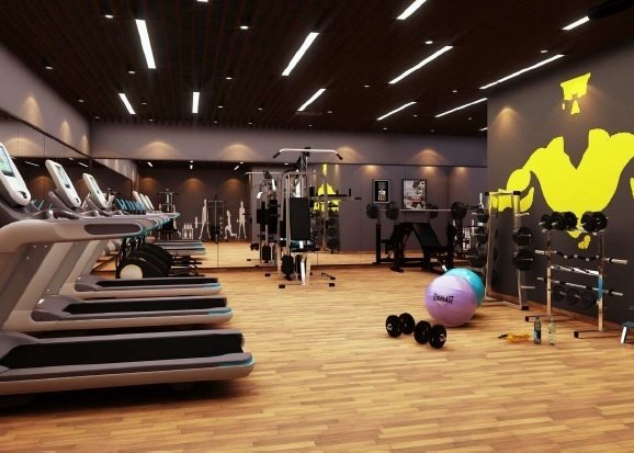  concorde elements of earth Gymnasium