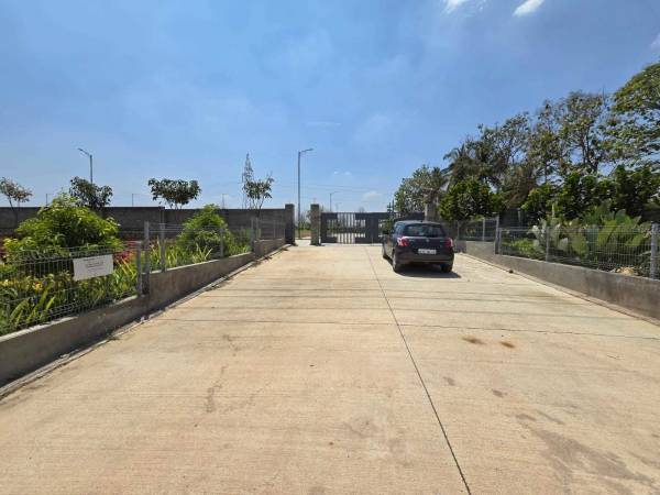  concorde-elements-of-earth Others