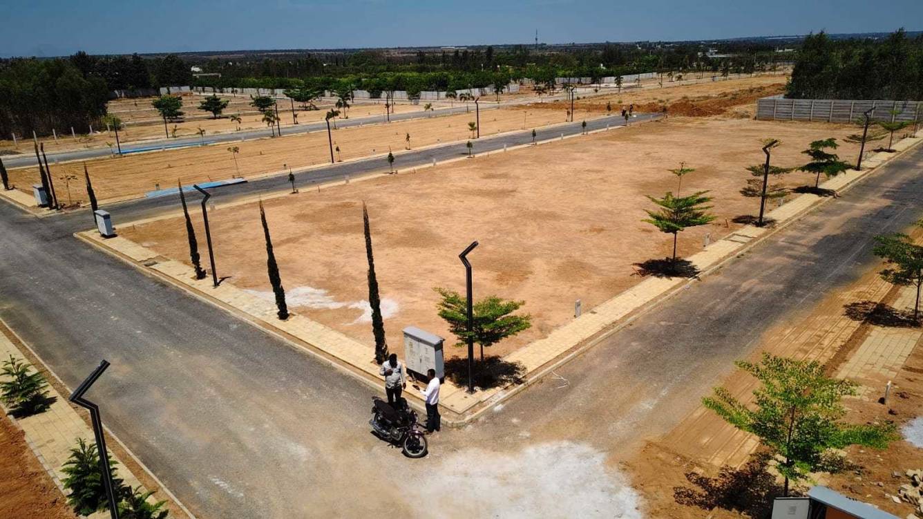 Elevation grevillea a block Elevation