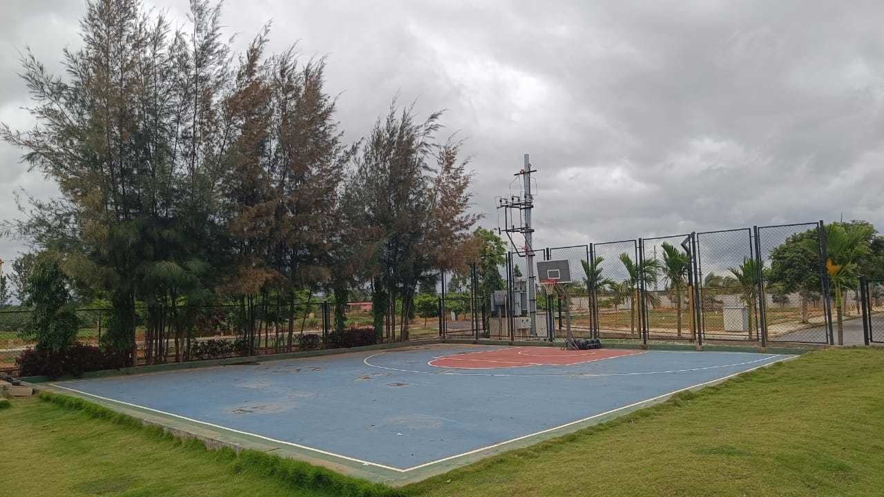  grevillea a block Basketball Court