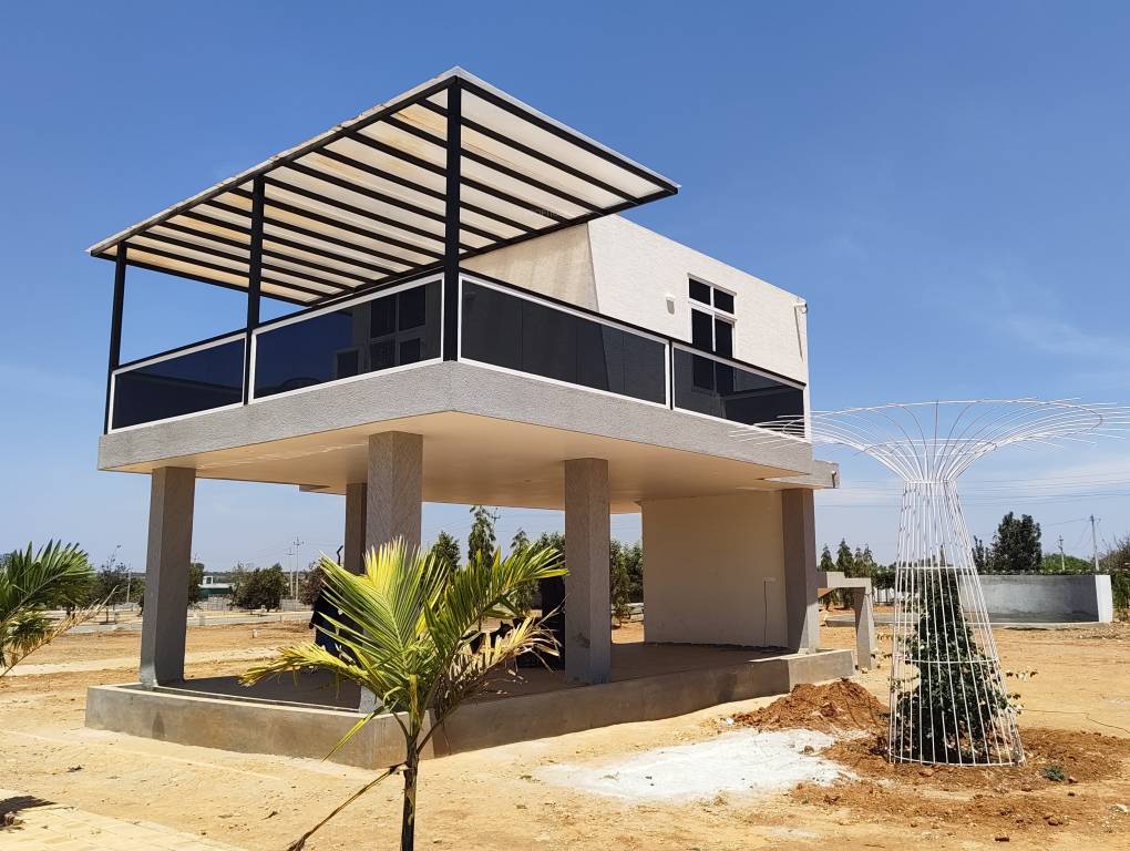  grevillea a block Others