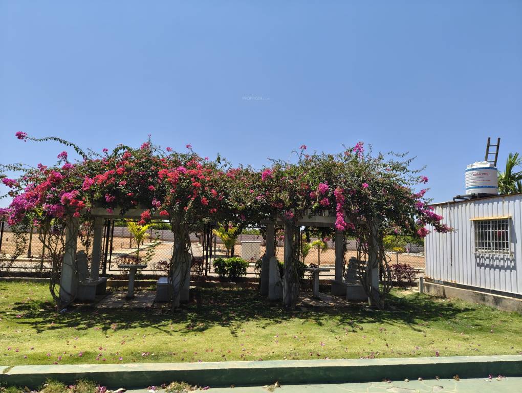  grevillea a block Others