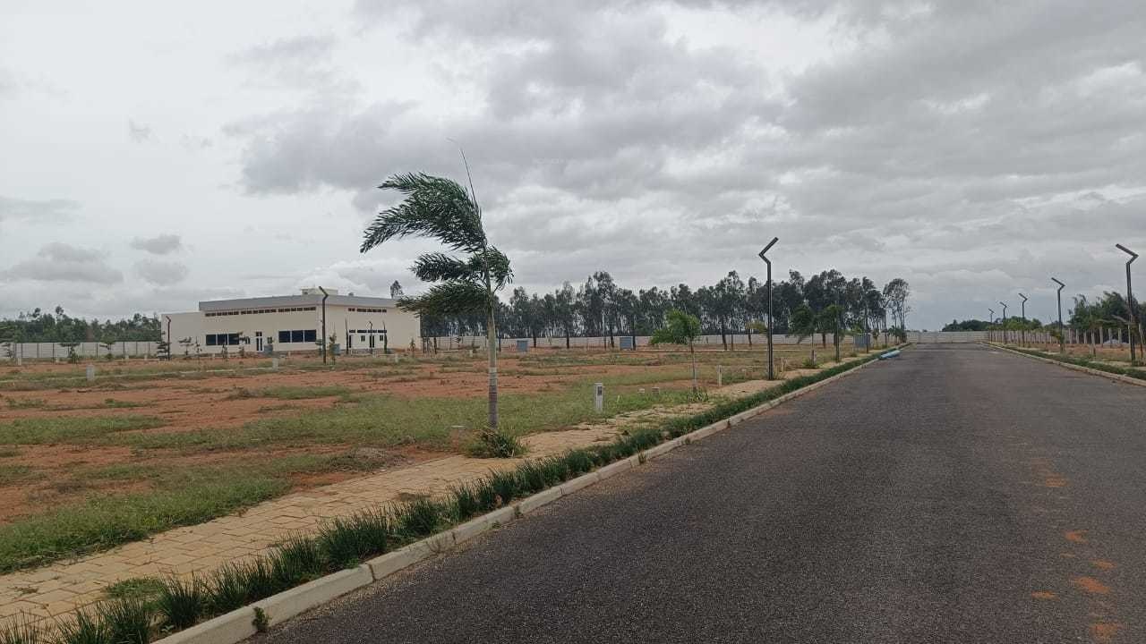  grevillea a block Plot