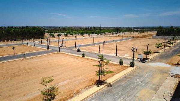  grevillea-a-block Plot