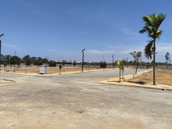  grevillea-a-block Plot