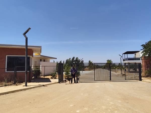  grevillea-a-block Plot