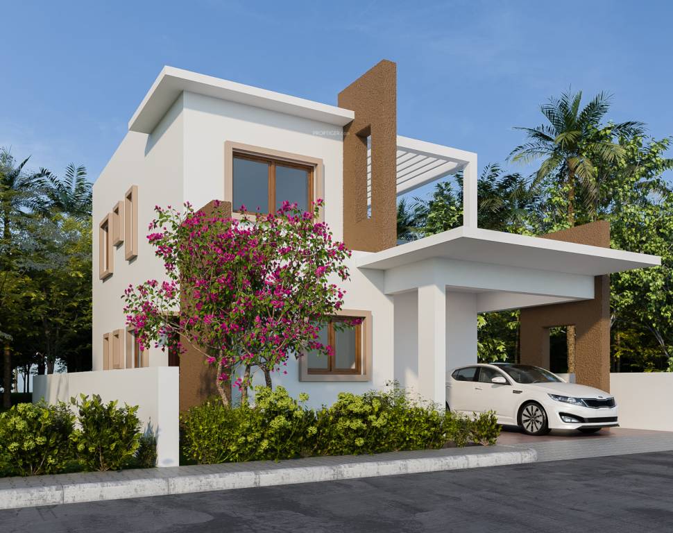  ruby lands Elevation