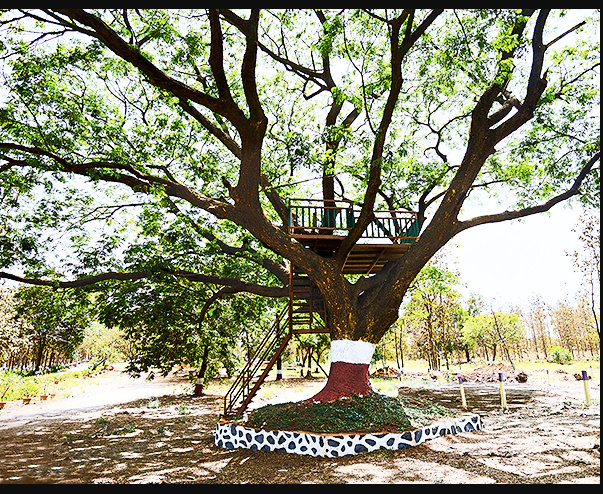  wollywood phase vi Others