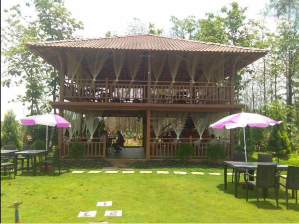  wollywood-phase-vi Others