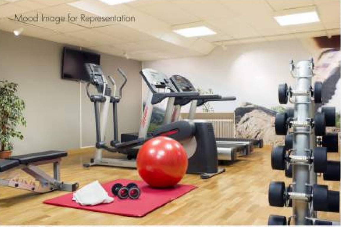  silver oak Gymnasium