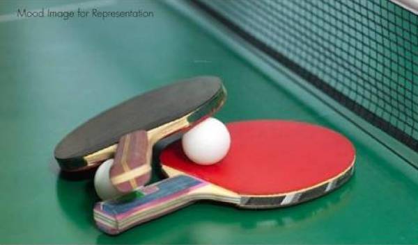  silver-oak Table Tennis