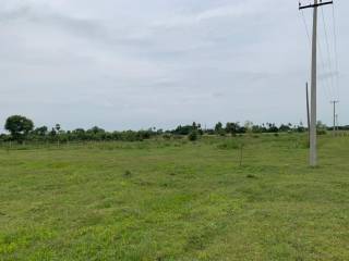 Project Image Project Image