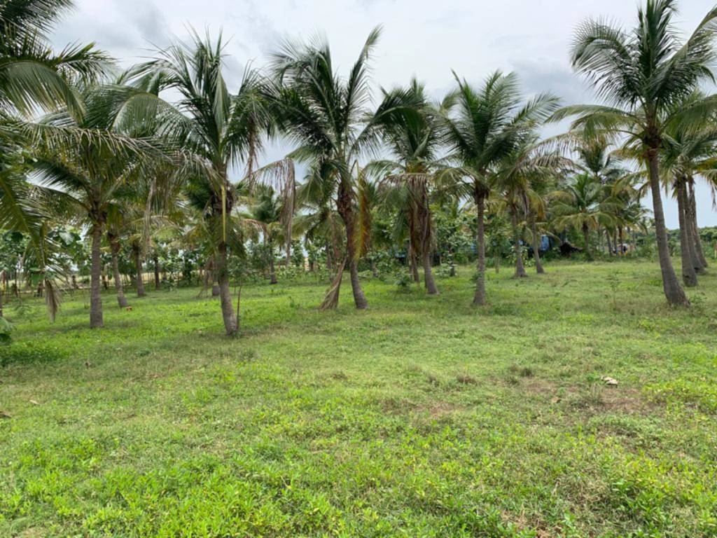  sri arunachaleswarar nagar Plot