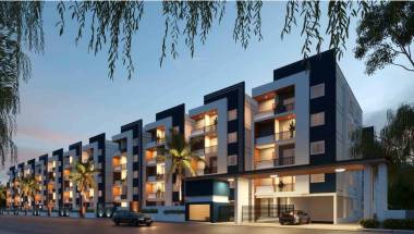 Elevation lotus Elevation