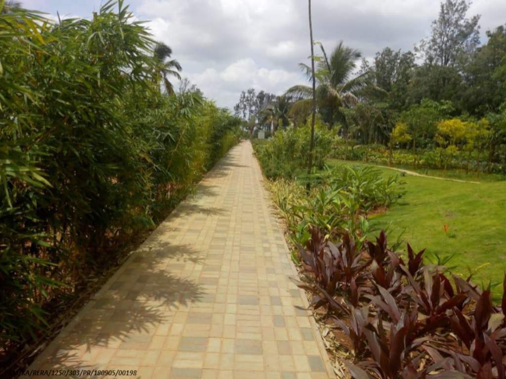  greens phase 2 Jogging Track