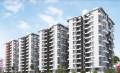 Tanish Associates Pearls Phase 2