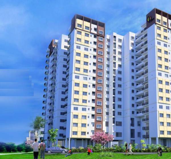  g-r-floret Elevation