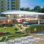  amann-highland-park Landscape Garden and Tree Planting