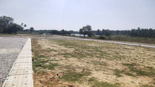 enclave Elevation Elevation