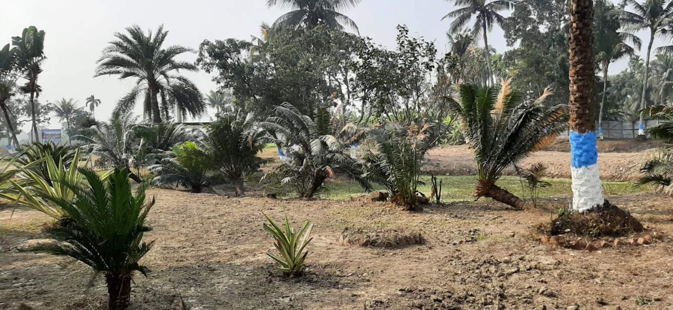  ramkrishna abasan Plot