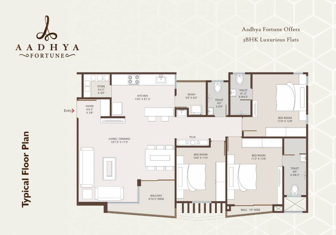  fortune Cluster Plan